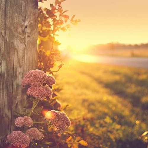 ♪ الفكرُ يا إنسانُ لو أطلقتَـهُ