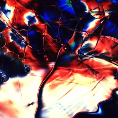 Whippoorwill (NZCA LINES Bass Desires Remix)