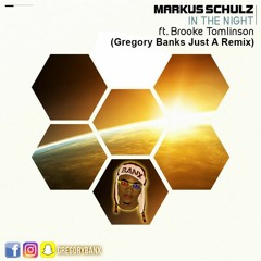 Markus Schulz Feat. Brooke Tomlinson - In The Night (Gregory Banks Just A Remix)
