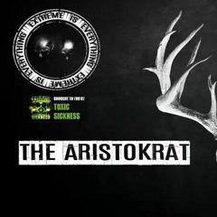THE ARISTOKRAT / DISTORTION OF REALITY / EIE003 PREVIEW