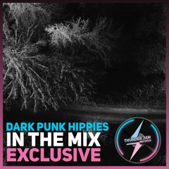 Dark Punk Hippies - Getting Cosmic  - EXCLUSIVE FOR THUNDER JAM RECORDS