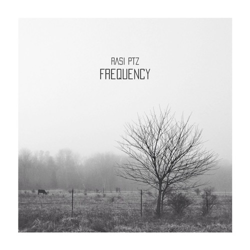 RASI  Z - Frequency