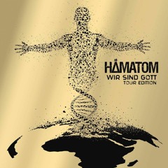 09 Zu Wahr Um Schoen Zu Sein Snippet