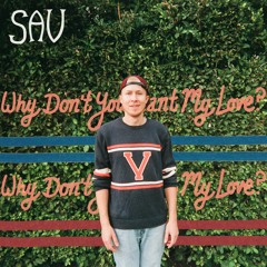 Why Dont You Want My Love?