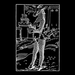 Ontal - PI02 // Snippets