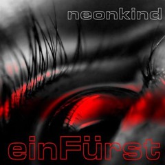 Einfürst Neonkind Markus Müller Remix