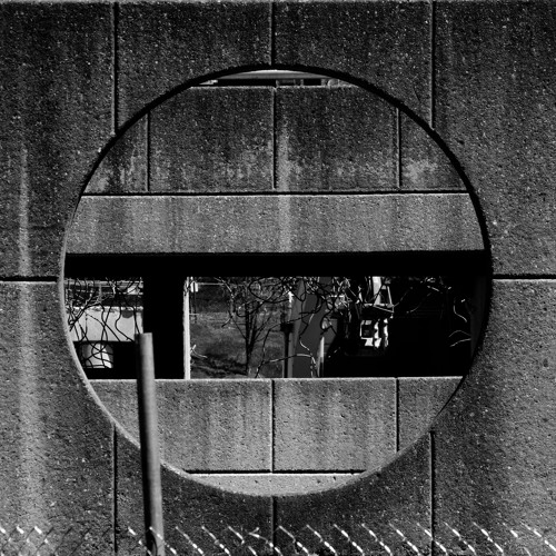 SHNGL - Transcendental Apperception