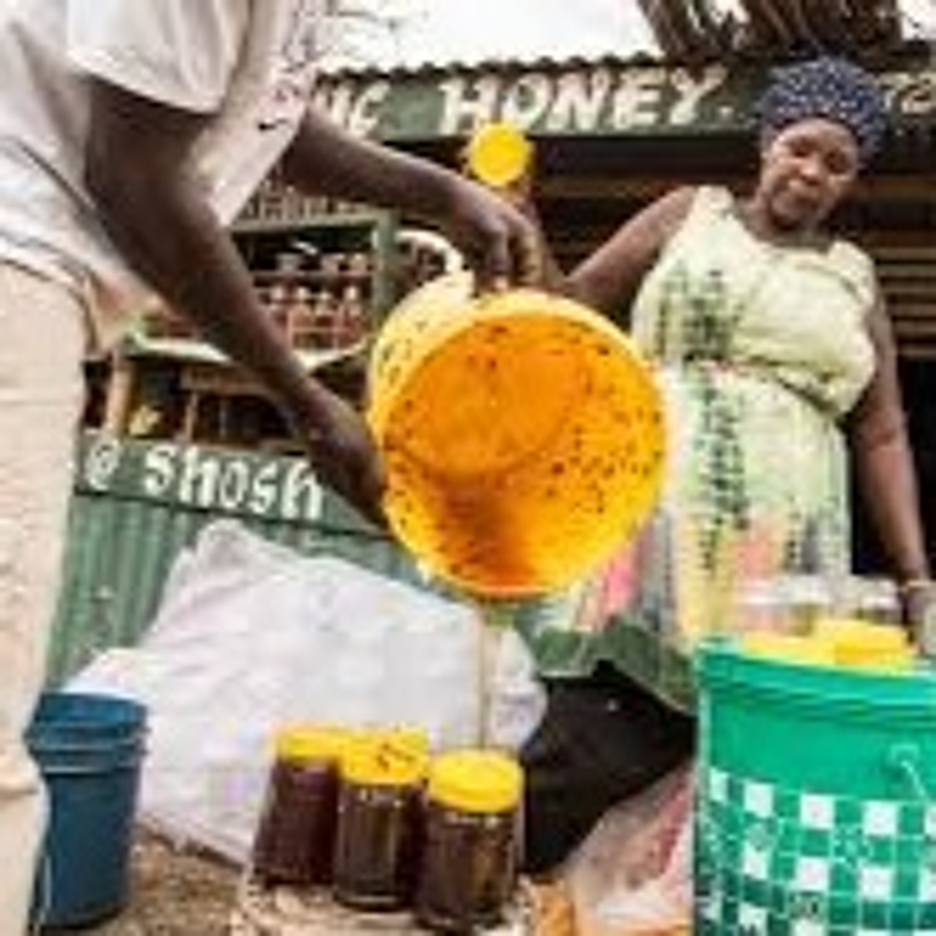 BBC World Service: honey hunting in Kenya