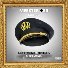 Meester Plusser [Sentimenz x Minibeats Afrodub Mix]
