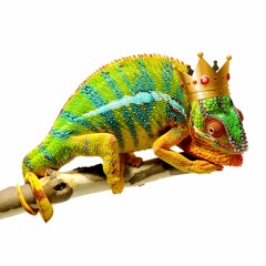Chameleon