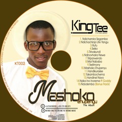 King Tee (Chimambo Panzvimbo)- Mashoko Ehupenyu The Album 2016