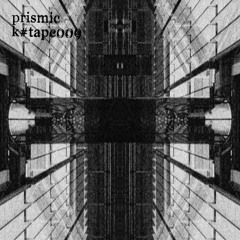 [k#tape009] prismic