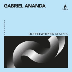 Gabriel Ananda - Doppelwhipper (Original Mix) - Truesoul - TRUE1290