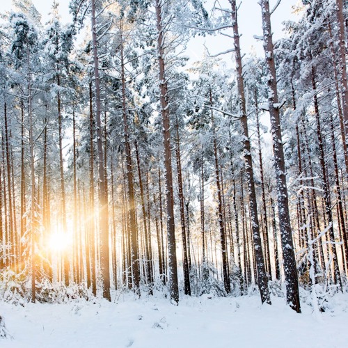 Signs of Winter (Sincerely Yours, Marianne 2016)