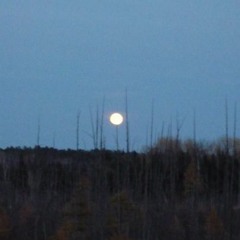 Ring Of Fire- Johny Cash- Sung by Jasmin Hermann