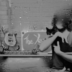 Sleeping Is Like Politics