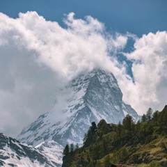 القارئ أحمد حمادي- أَوَلَمْ يَرَوْا أَنَّا خَلَقْنَا لَهُمْ مِمَّا عَمِلَتْ أَيْدِينَا أَنْعَامًا