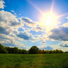 Molnar Laszlo& Dandy- Green Fields(cover version)
