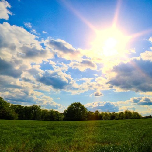 Molnar Laszlo& Dandy- Green Fields(cover version)