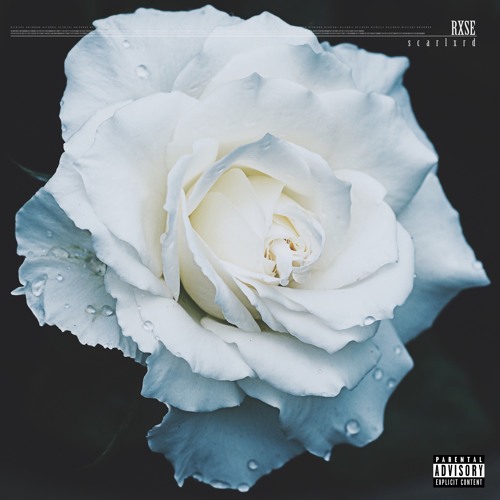 MY FAULT [Prod. JORDON LUMLEY]