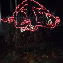 BACK$LASH ('94 Champs)