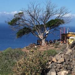 OV-SILENCE.OLI @ PAN-O-RAMA_La Gomera - FREE DOWNLOAD