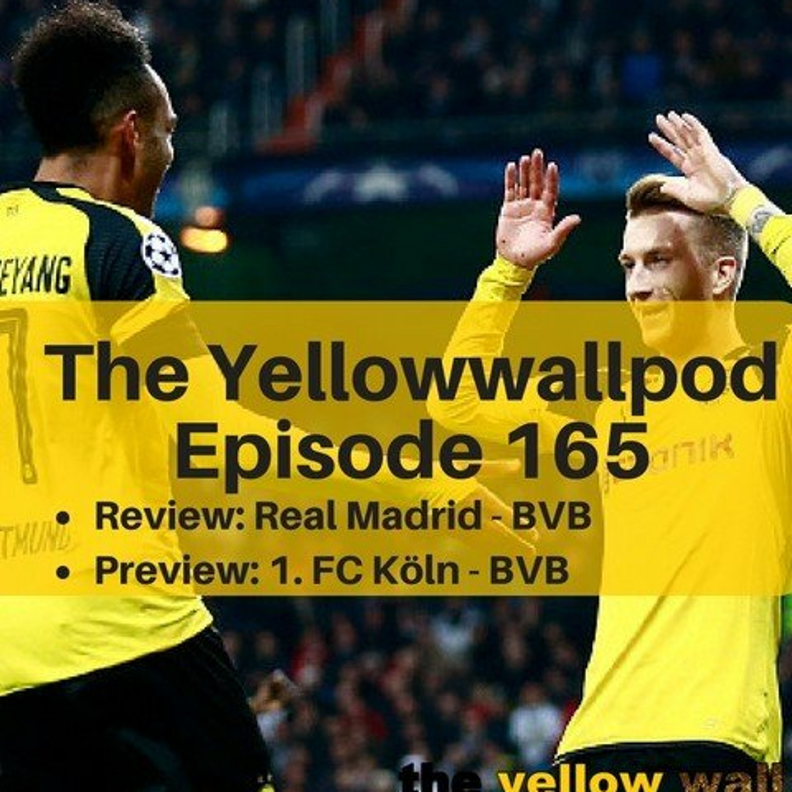 Yellowwallpod
