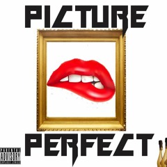 PICTURE PERFECT