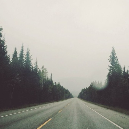 tranquillity w/ harvest