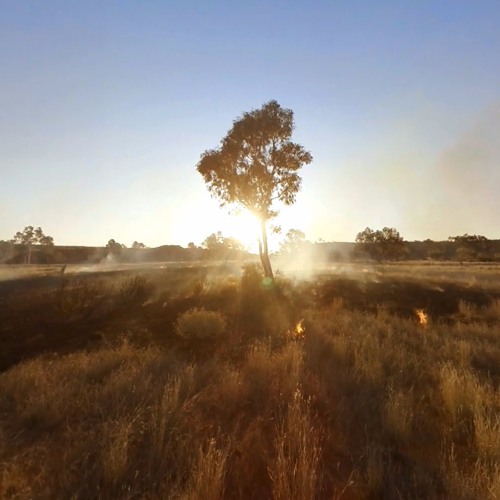 Creating Worlds: Lynette Wallworth And Enrique Vargas In Conversation