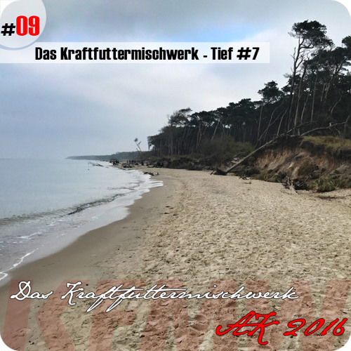 2016 #09: Das Kraftfuttermischwerk - Tief #7