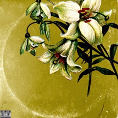 Yun Gi - Lily (featuring Dallas Hill)