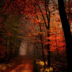 Acoustic Medley (In Flames Cover)