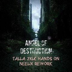 Phaxe - Angel Of Destruction (talla 2xlc Rework)