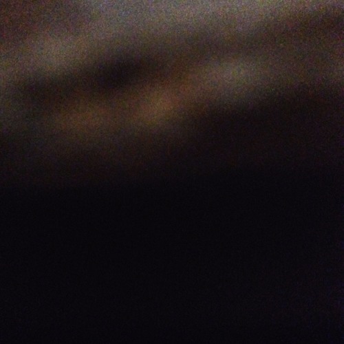 HiddenInTheFloorboards