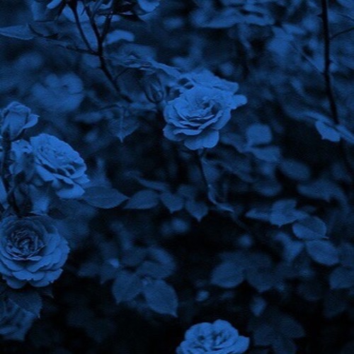 Elijah - Done With It