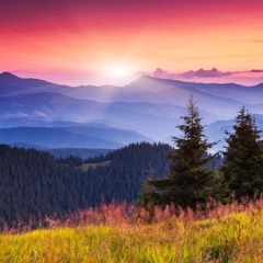 We've Only Just Begun (Carpenters)