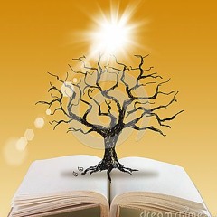 Trans Resp Latest W Bass