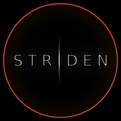 DJ Striden - Music Is My Thing [Electro]