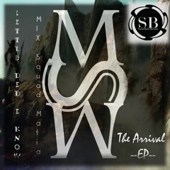 Mix Squad Mafia - Little Did I Know (Original Mix)