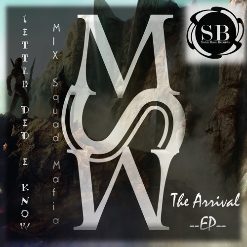 Mix Squad Mafia - Little Did I Know (Original Mix)