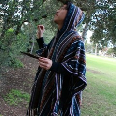 Piles Of Sand (acoustic demo)