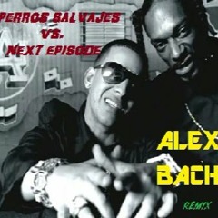Perros Salvaje Vs. Next Episode (Alex Bach Remix) - Daddy Yankee Vs. Snoop Dogg & Dr. Dree