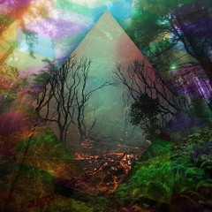 Lost into the forest