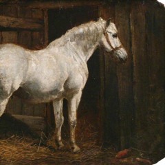 Lovely Joan (The Cruel Mothers) (in rehearsal / extremely lo-fi)