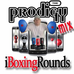 Punch Bag Workout - iBoxing Rounds Prodigy Mix