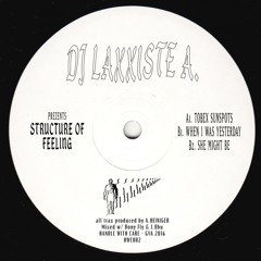 Dj Laxxiste A. — Structure Of Feeling (HWC002)