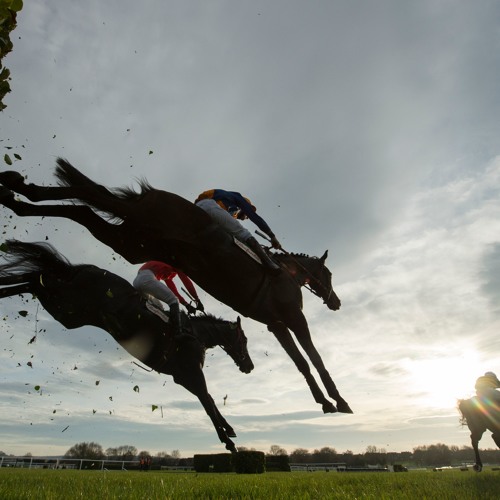Bolger Bags Another Banks Win At Cheltenham With Cantlow By Horse