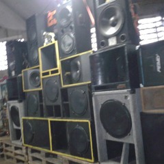 Le Son De La POLICE -- VIBRATION--