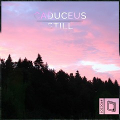 Caduceus - Still